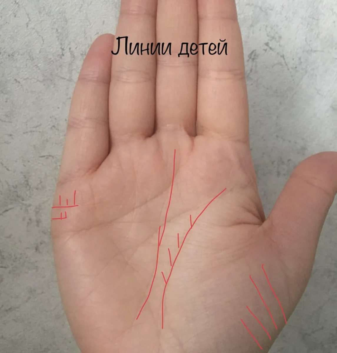       Источник: соцсети