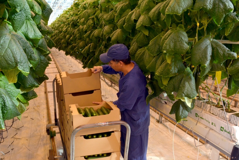 Фото: Пресс-служба минсельхоза Челябинской области