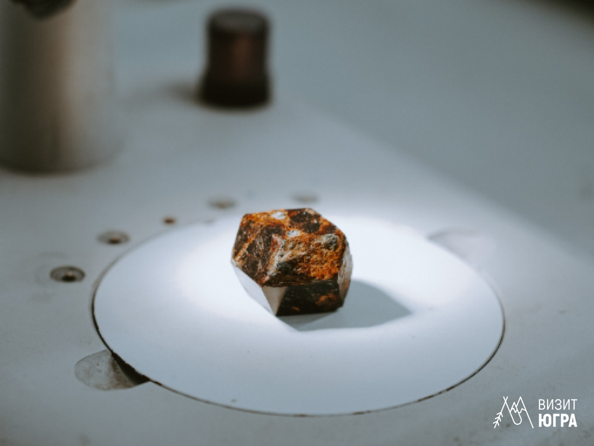 Фото: Туркомпания «Югра360°» |Туры и экскурсии по Югре
