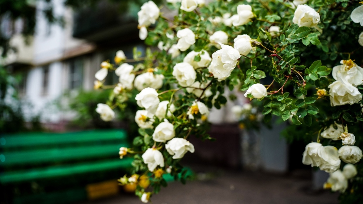 Светлана Мулыкина📷
