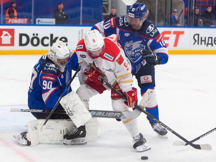     Фото: Андрей Холмов/ХК «Лада»