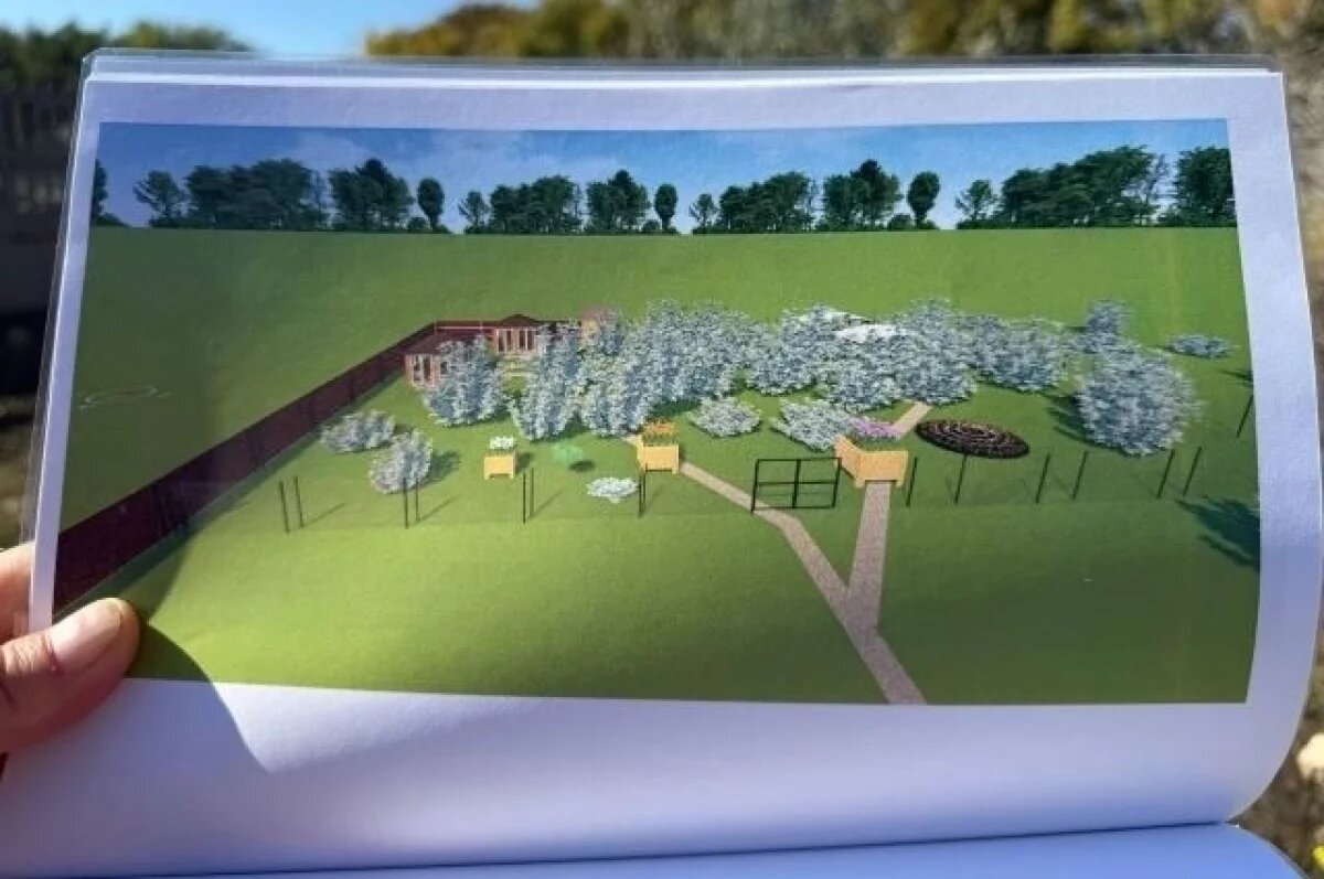    В Евпатории появится парк для кошек на месте пустыря