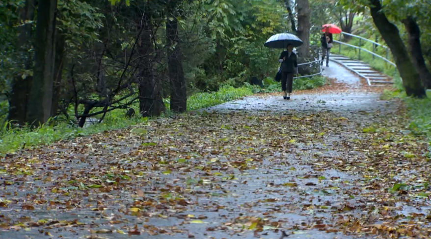    Источник фото: