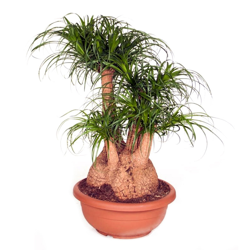 МНЕ СИИЛЬНО ПОНРАВИЛОСЬ!) (фото взято из открытых источников для примера)