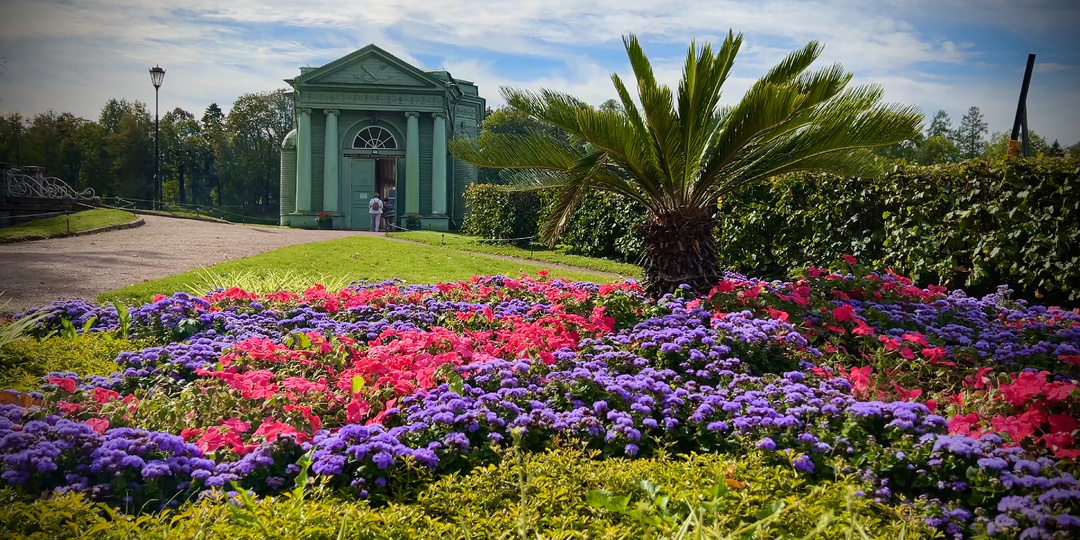 Едем в Гатчину! Романтика, да и только
