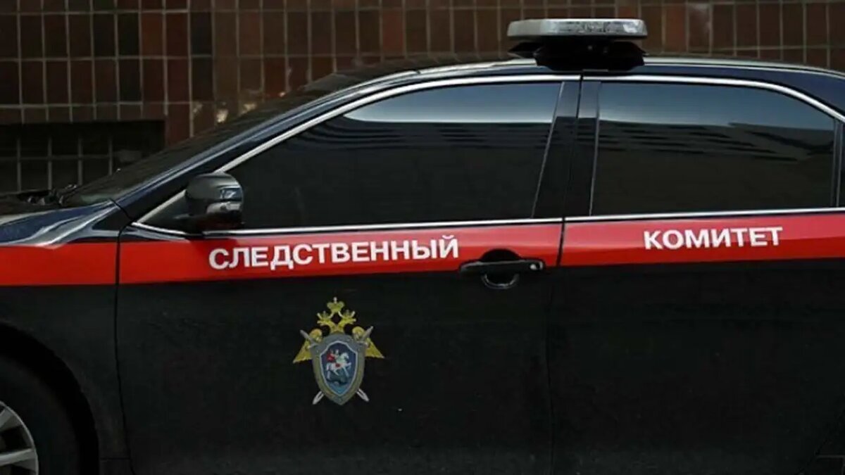    Следственный комитет России. © СК России