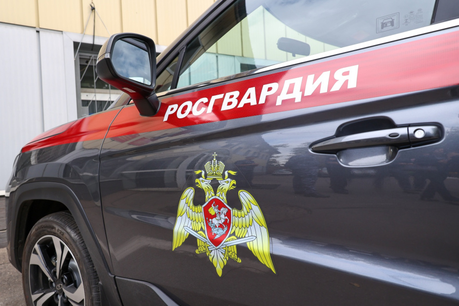   Сергей Петров/NEWS.ru