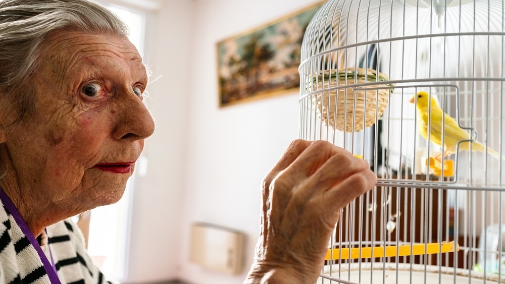     Фото: MORCILLO/BSIP/East News