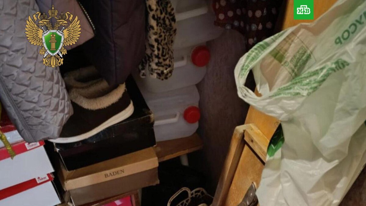    Фото: prok_lenobl / t.me