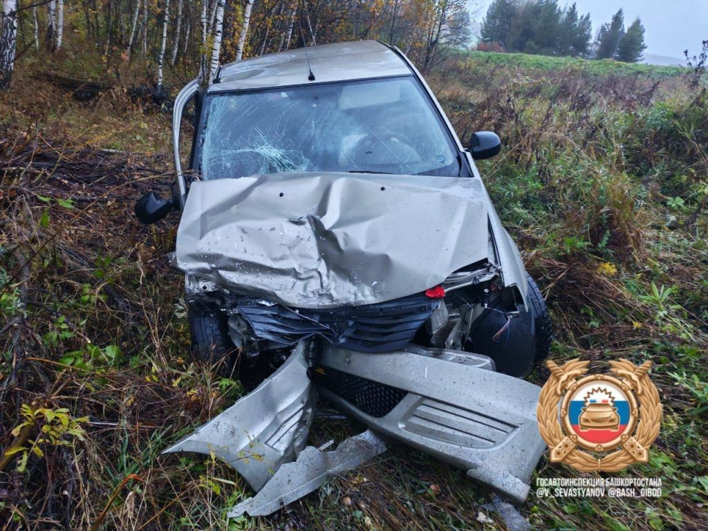    Фото: Госавтоинспекция Башкирии