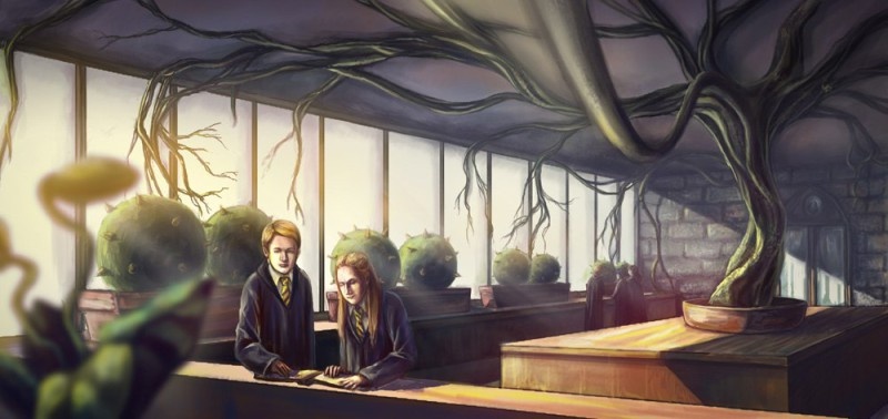 Помещение теплицы (арт, взятый из свободного источника).