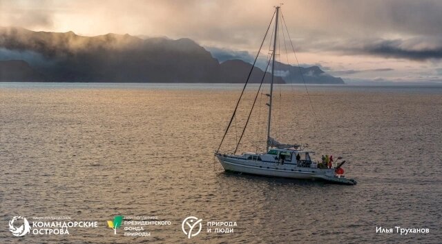    Фото: Нацпарк "Командорские острова"
