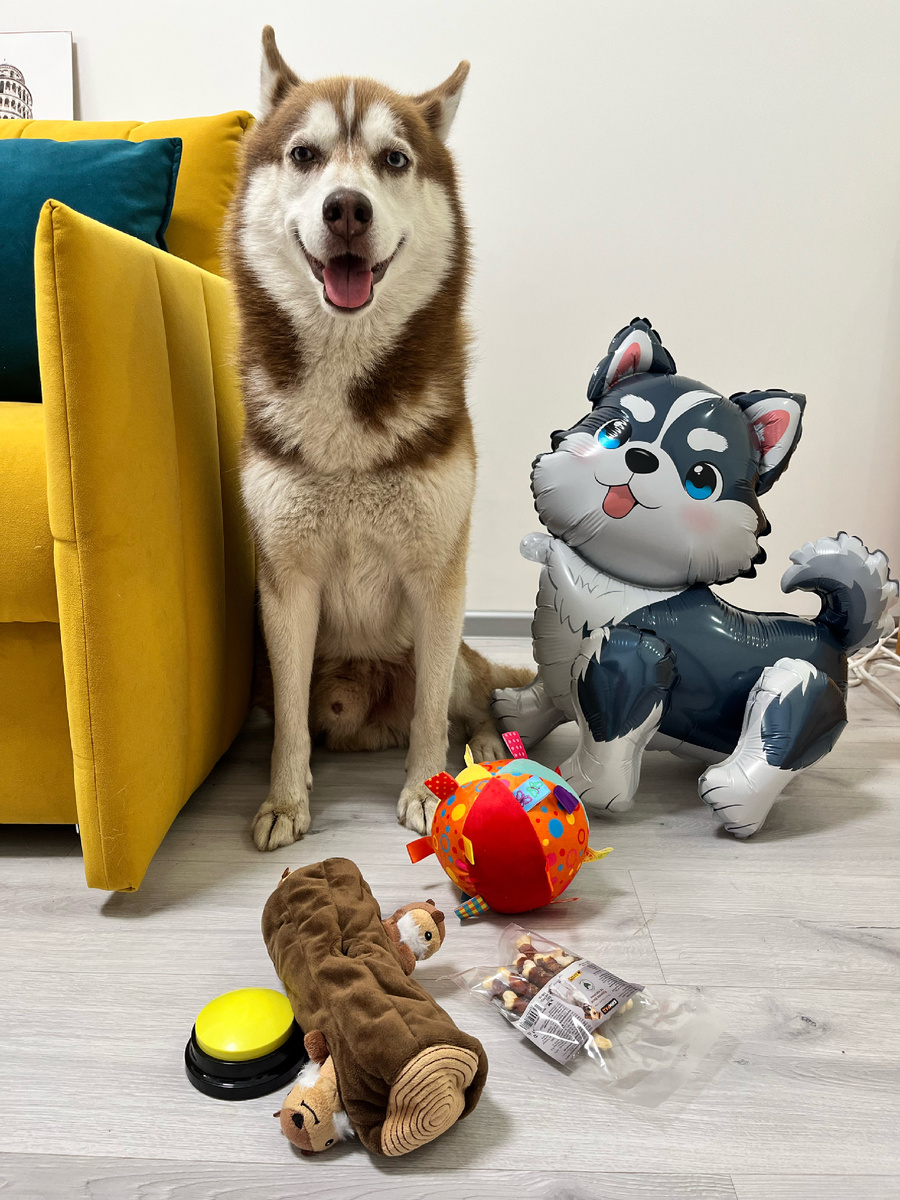 9 лет 🎂🎉😍