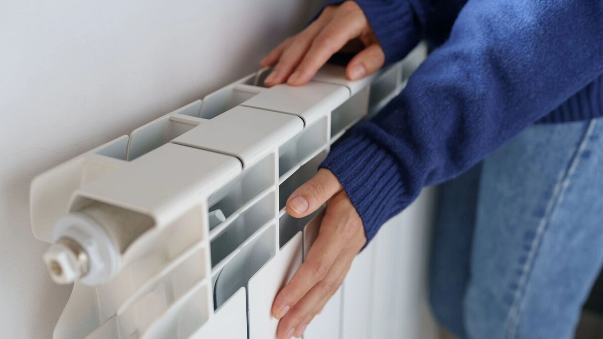    Фото: DimaBerlin/Shutterstock/Fotodom