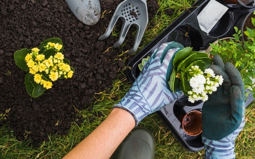    Опрос IZHLIFE: лишь 9% жителей Удмуртии закончили дачный сезон в сентябре