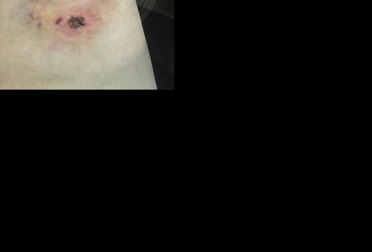    Фото: тг-канал Типичный Сочи