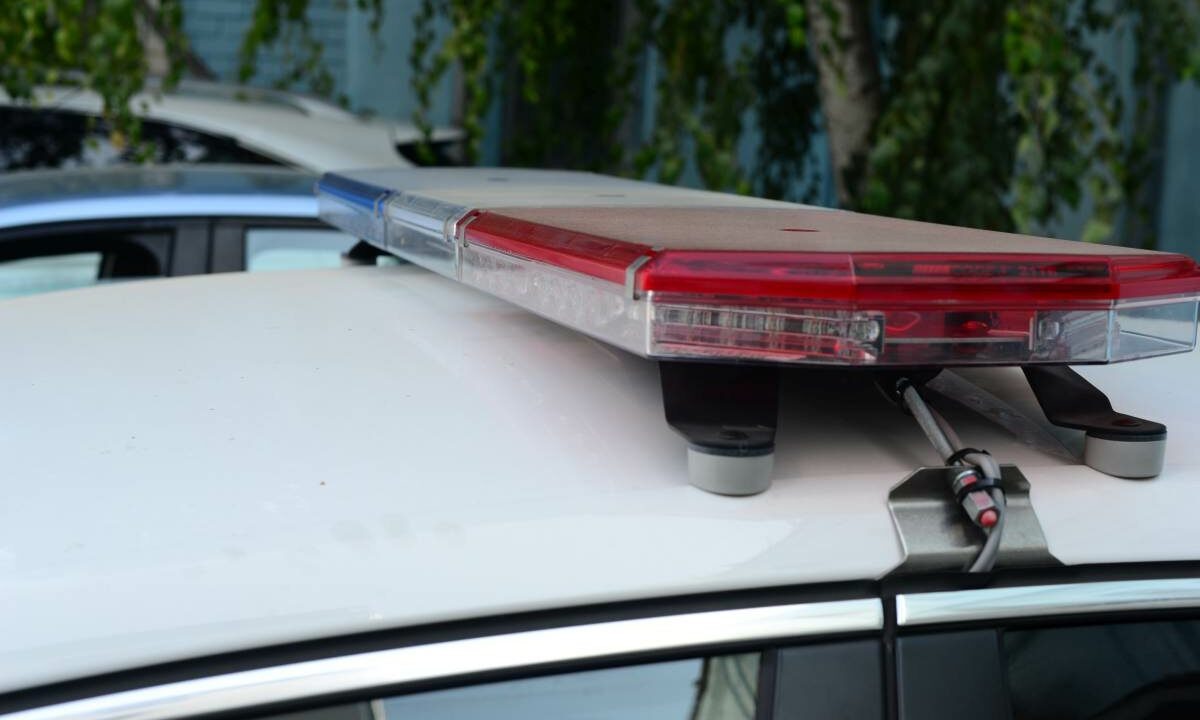    Фото Виктории Перевязко, «Кубань 24»