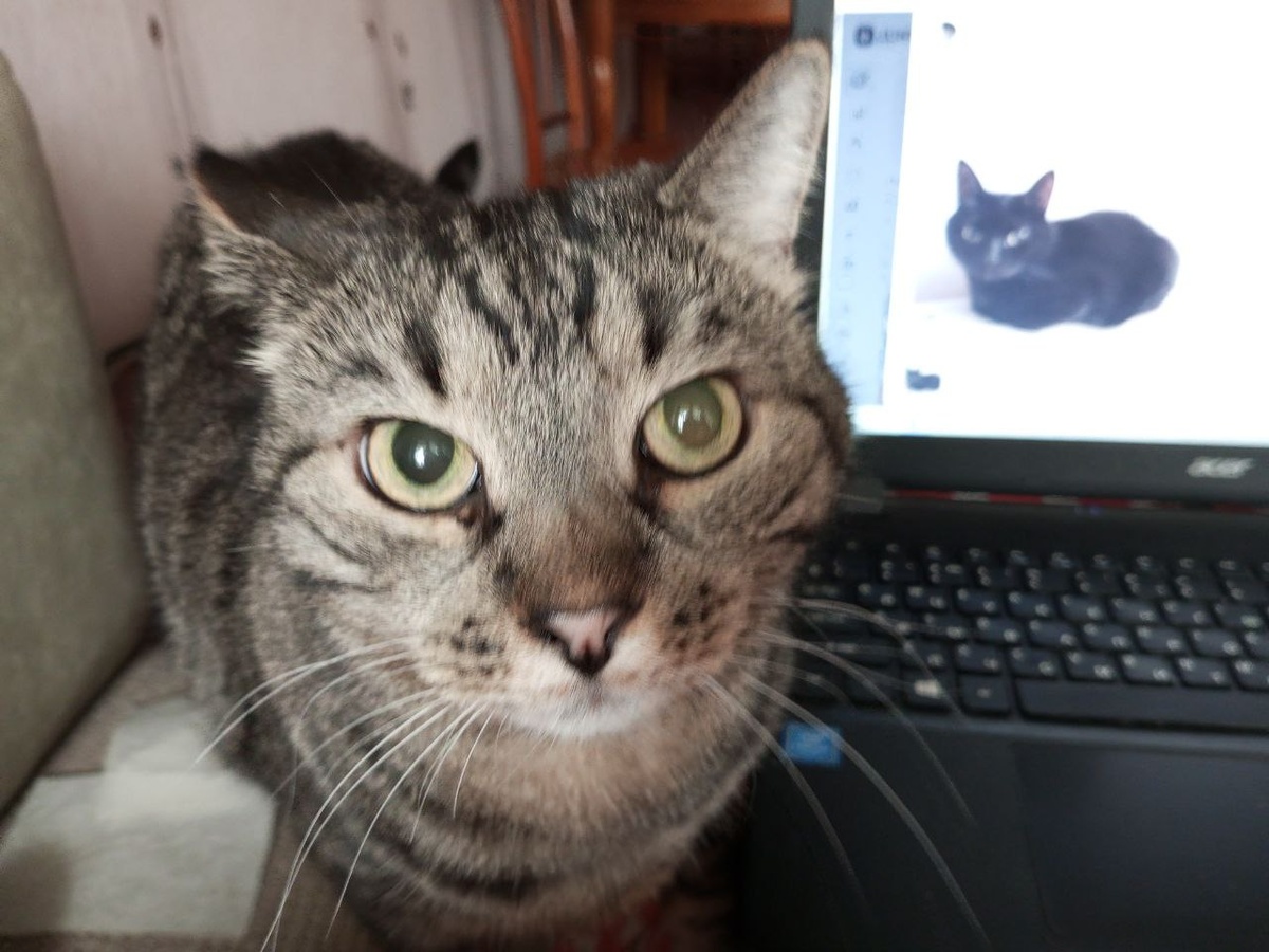 "Грелку заказывали?"