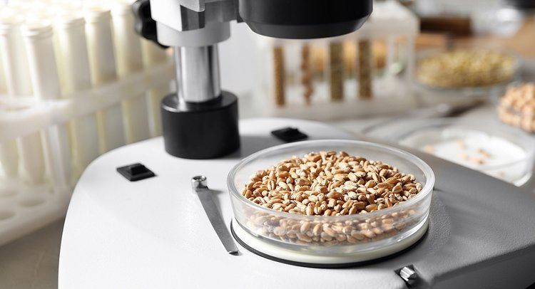    Фото: ФГБУ ЦОК АПК