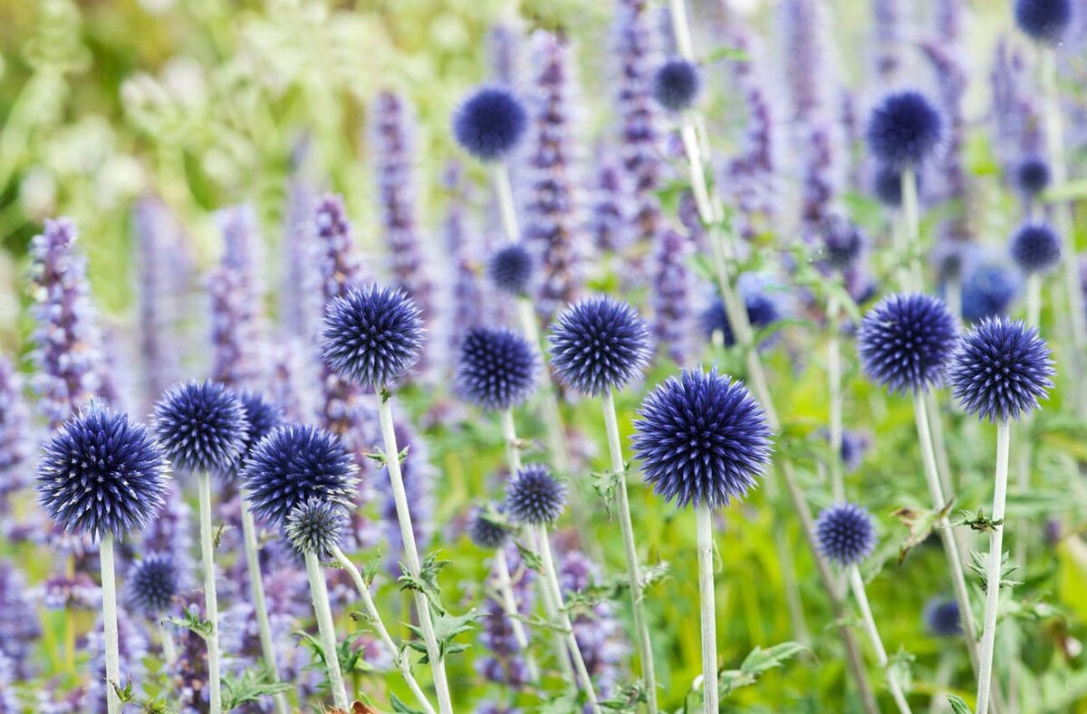 Изображение использовано с ru.pinterest.com