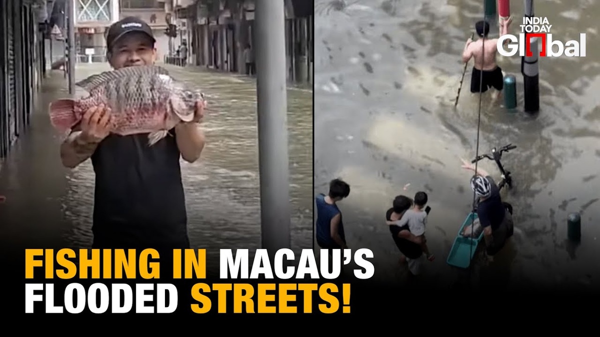 Местные жители Макао ловят рыбу