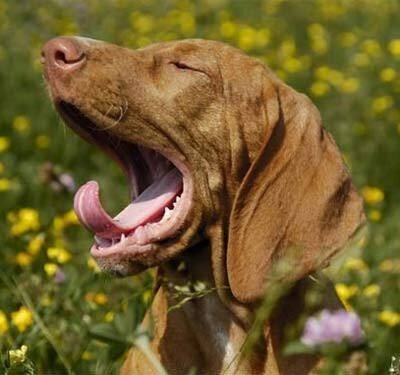 Охи-вздохи или лучший доктор - ты сам! День 2