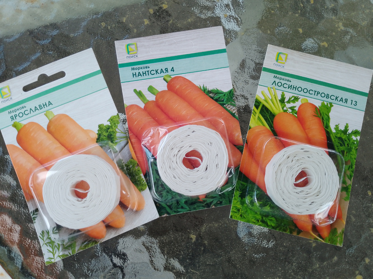 Морковь на ленте