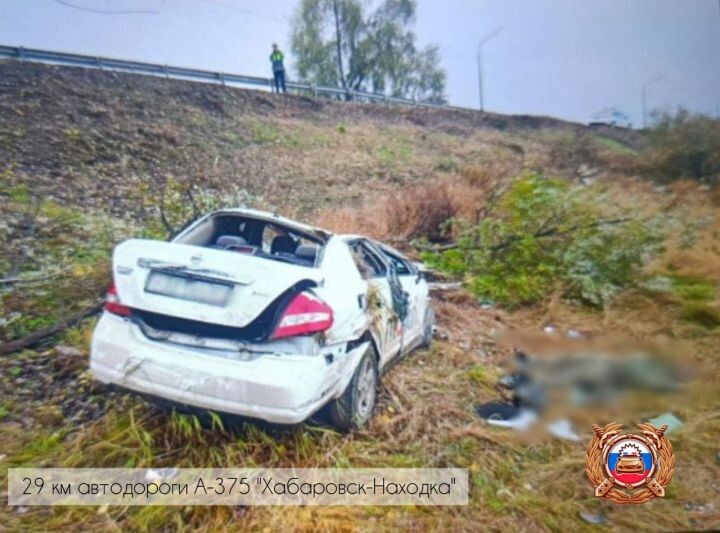    Фото:Пресс-служба Госавтоинспекции Хабаровского края