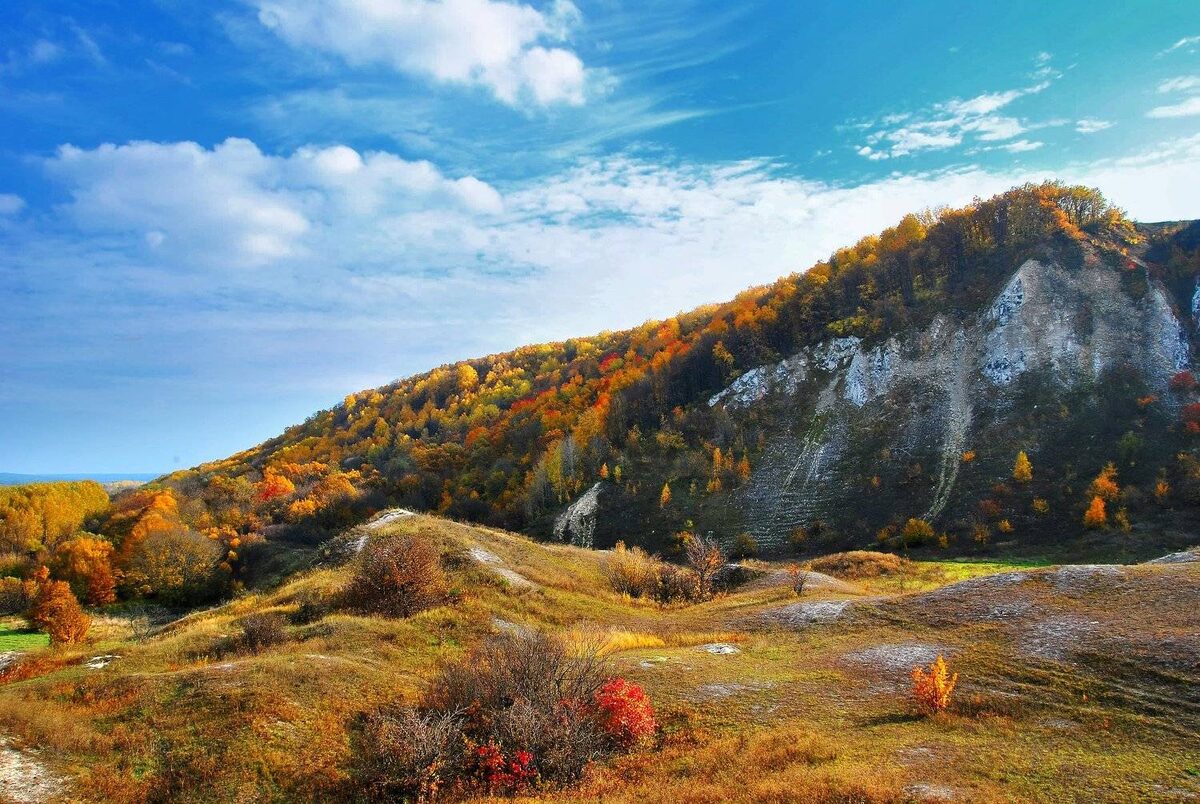 источник: https://35awards.com/6th/page/contests/num/586