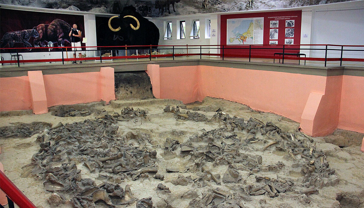 источник: https://dzen.ru/a/ZfQvi0d_kxppLtRc