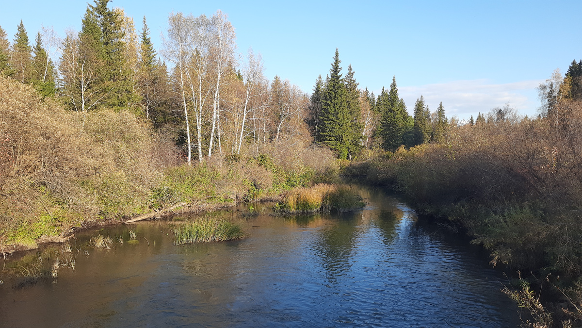 Берег реки Улуй