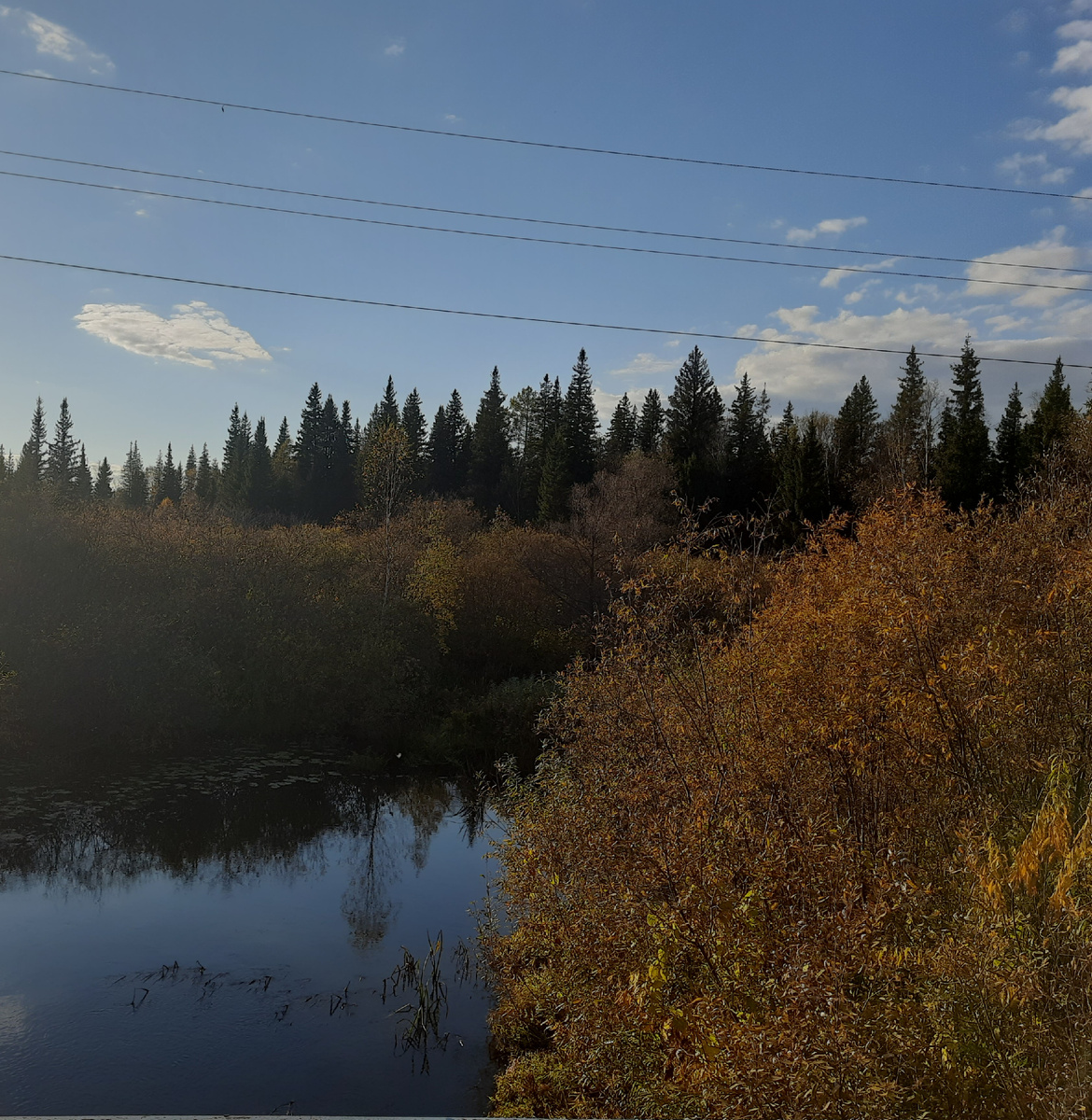 Берег реки Улуй