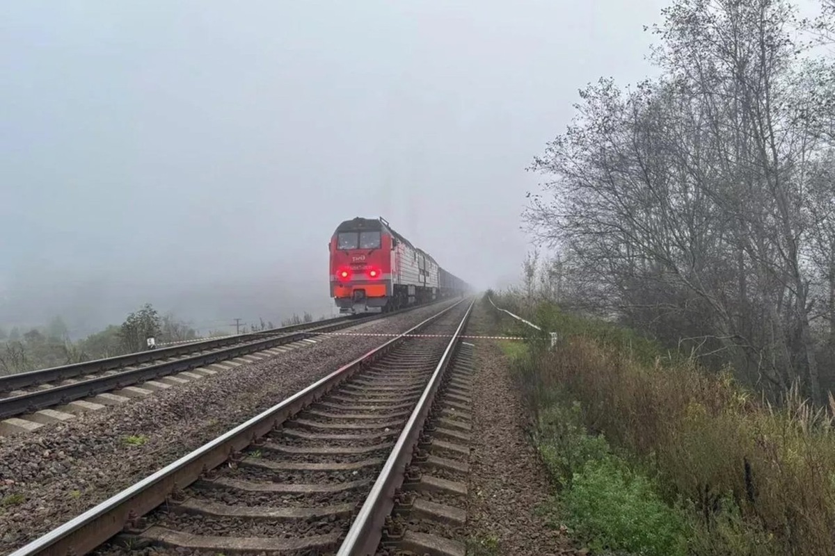    Фото: Пресс-служба губернатора Псковской области