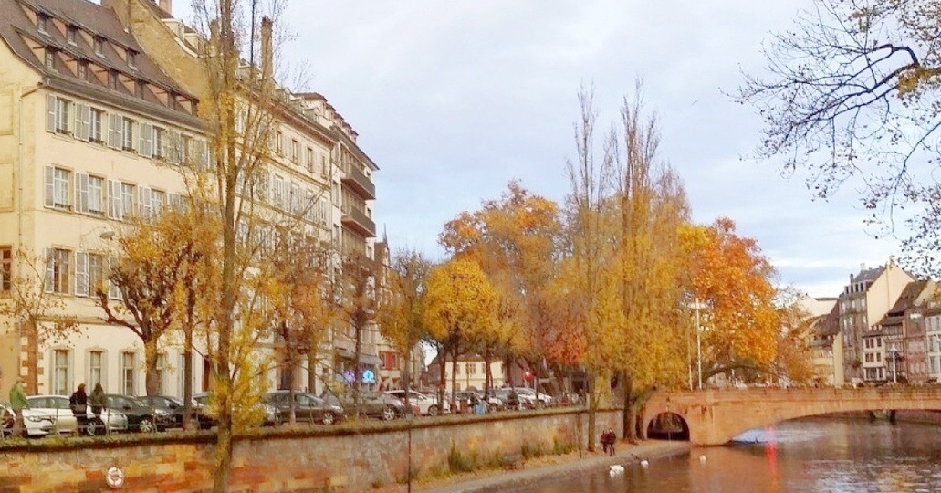 "Что если я не люблю свою собаку?"