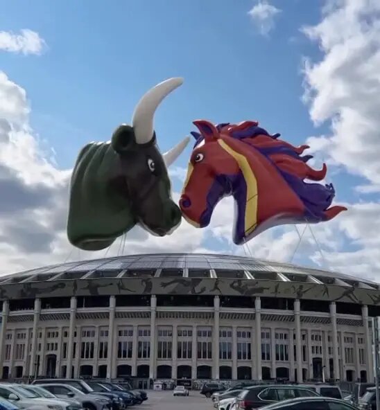 Бык против коня