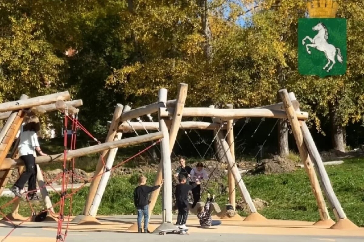    Волонтеры высадили плакучие ивы и черемухи в двух скверах Томска