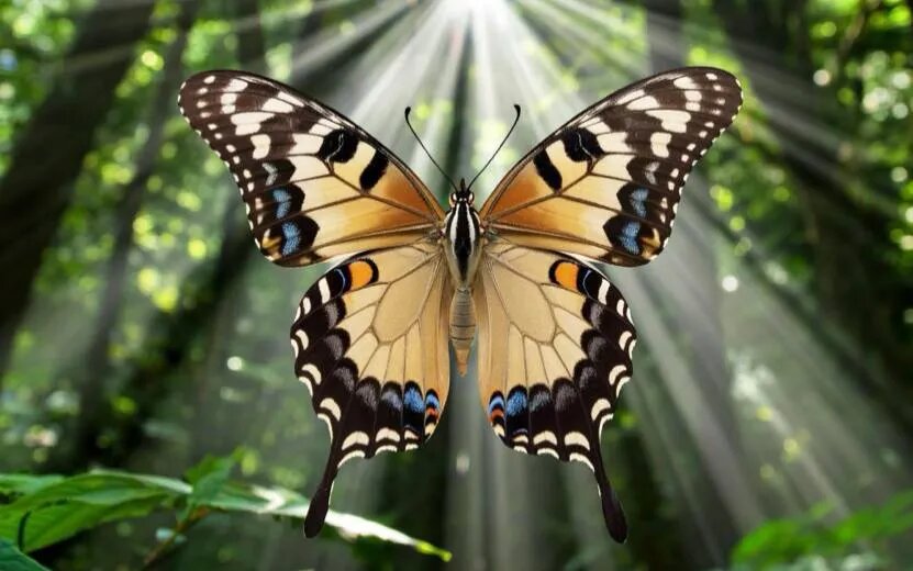    Гороскоп по дате рождения на день – 27 сентября: Девам полезно развивать навыки и системность, а Рыбам – уделять внимание планированию и бытовым делам