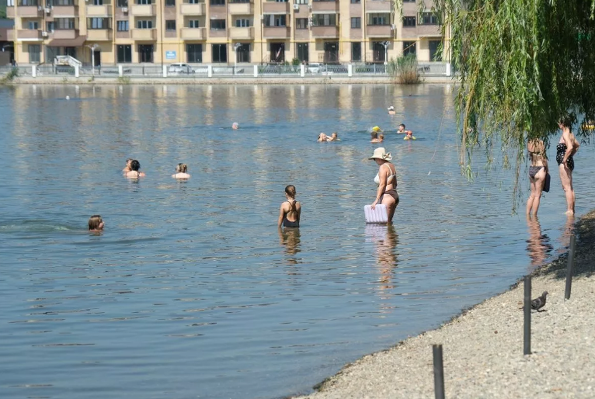    Фото: Михаи Ступин, источник: Кубанские новости