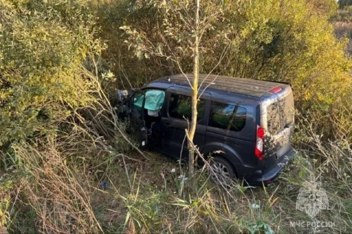    В Ивановской области в тройном ДТП пострадали женщина и грудной ребенок