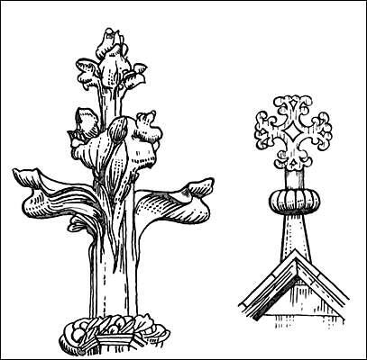 Иллюстрация: Крестоцвет