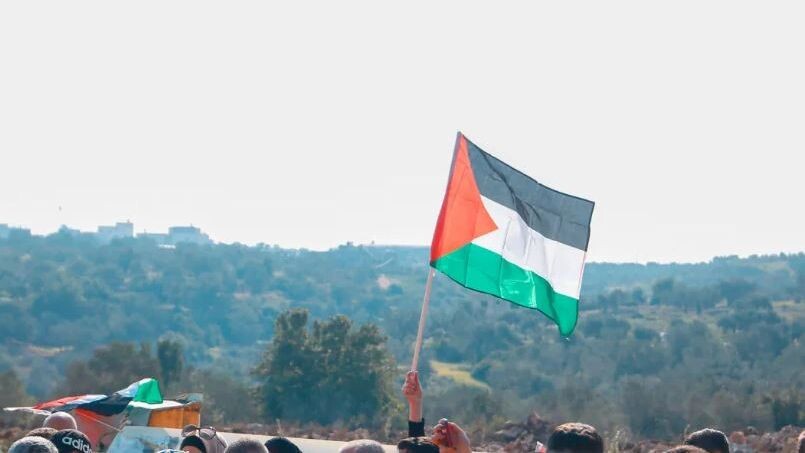    Фото: abu adel - photo/Shutterstock/Fotodom