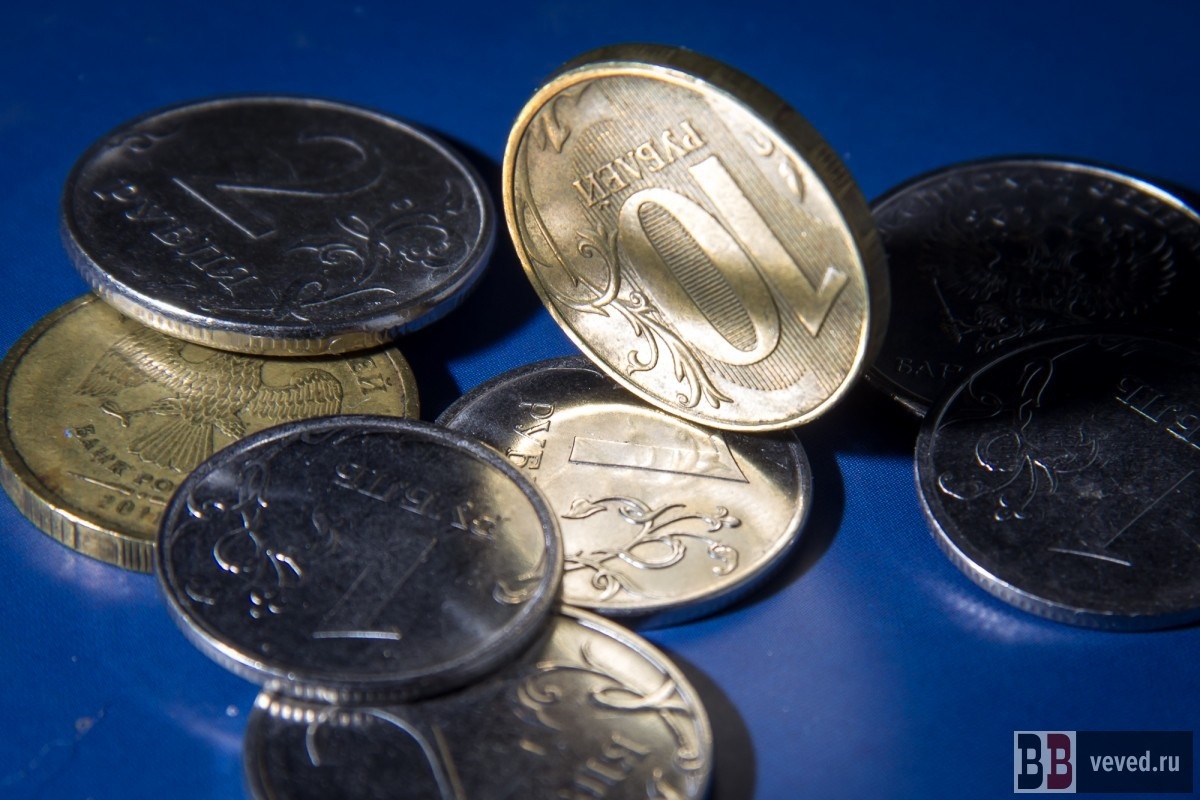     Фото: Андрей Гоголев / Вечерние ведомости