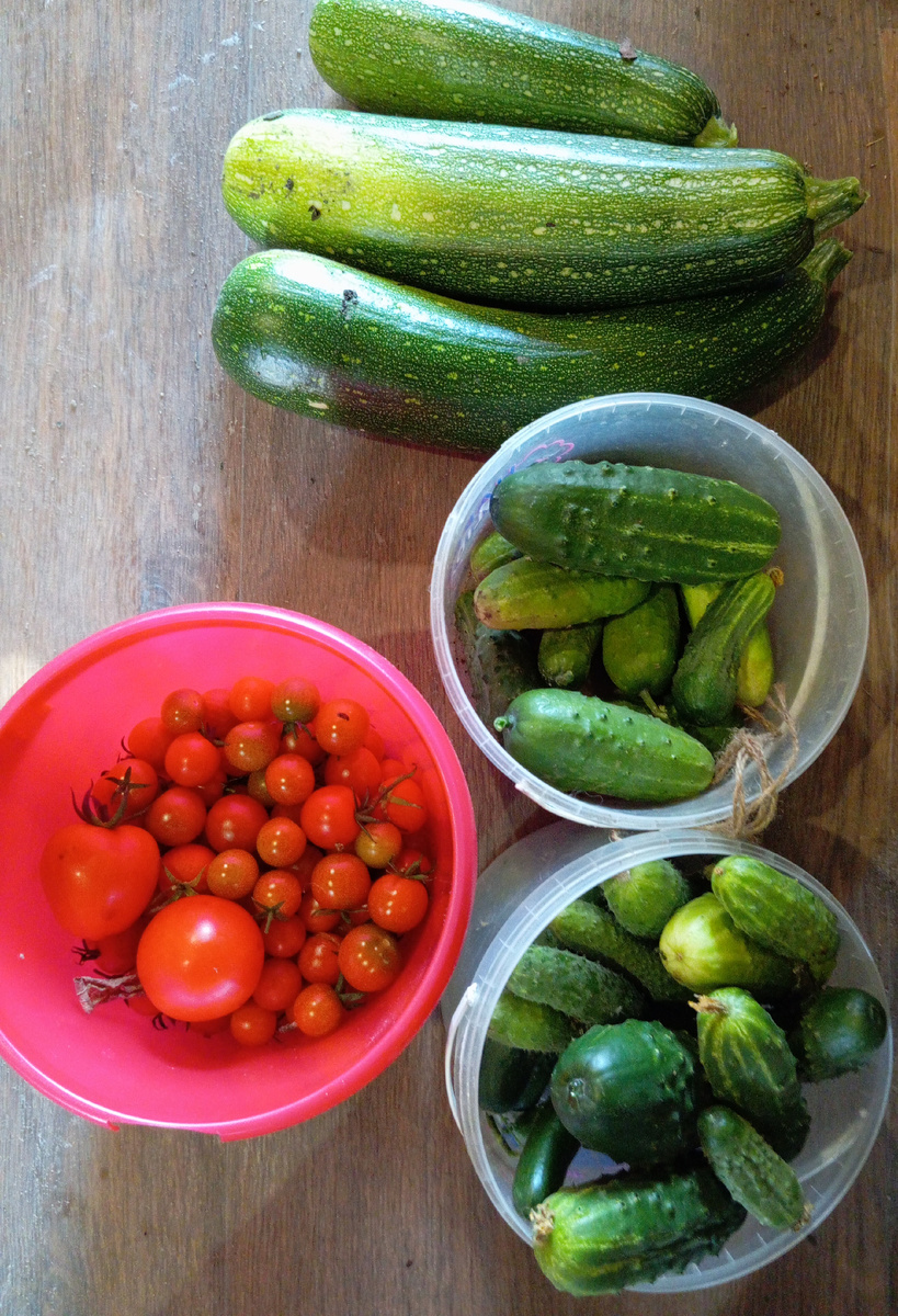 Поскребыши. Ещё сейчас яблок наберу. 