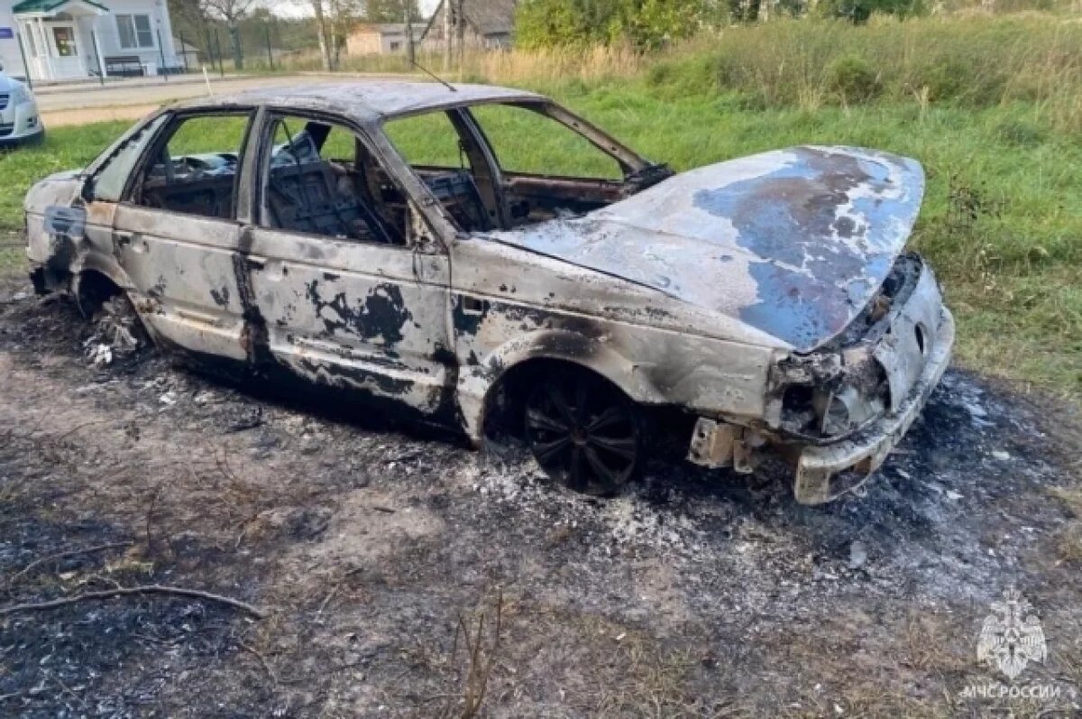    Два автомобиля Volkswagen Passat сгорели за сутки в Псковской области