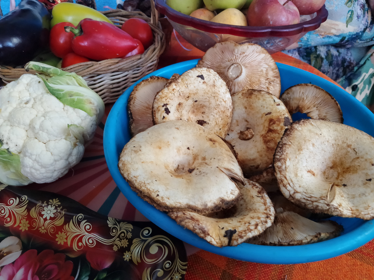 Фото  автора