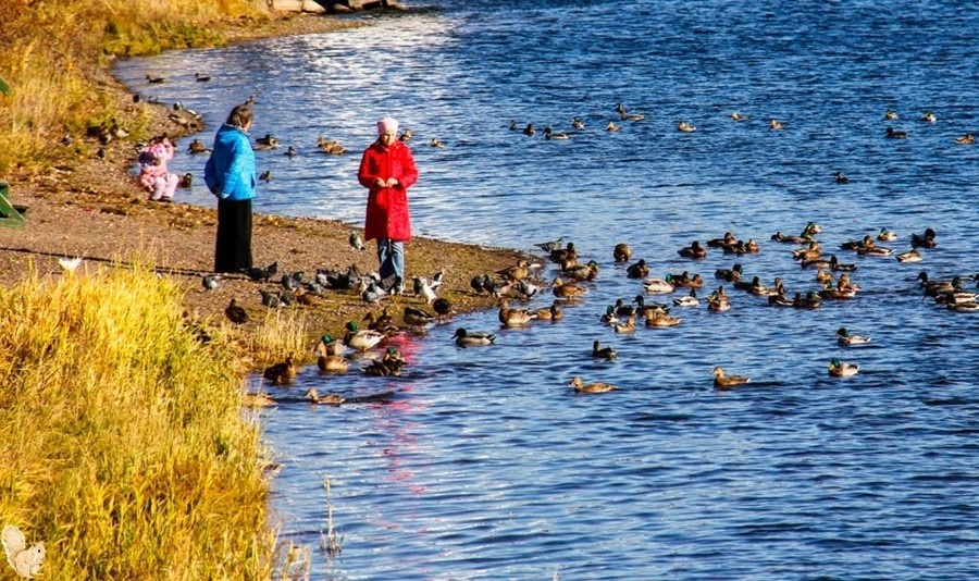 Фото: Анна Кравченко