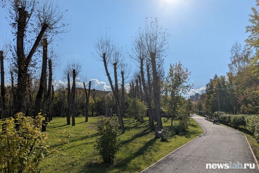 Обыкновенный вид деревьев в парке Троя
