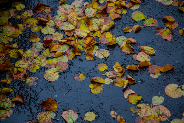    Фото: Общественная Служба Новостей Илья Федоров