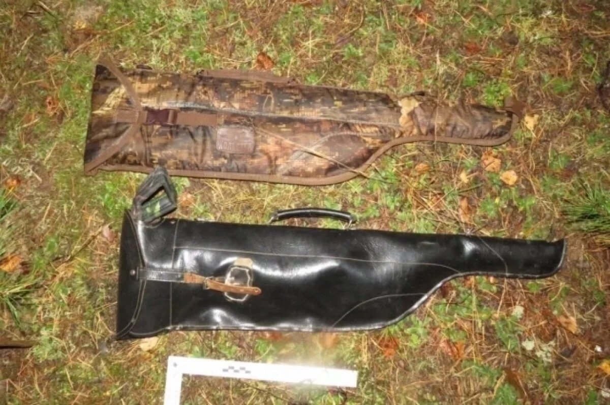    В Удмуртии задержали двух пенсионеров за нелегальную охоту на лося