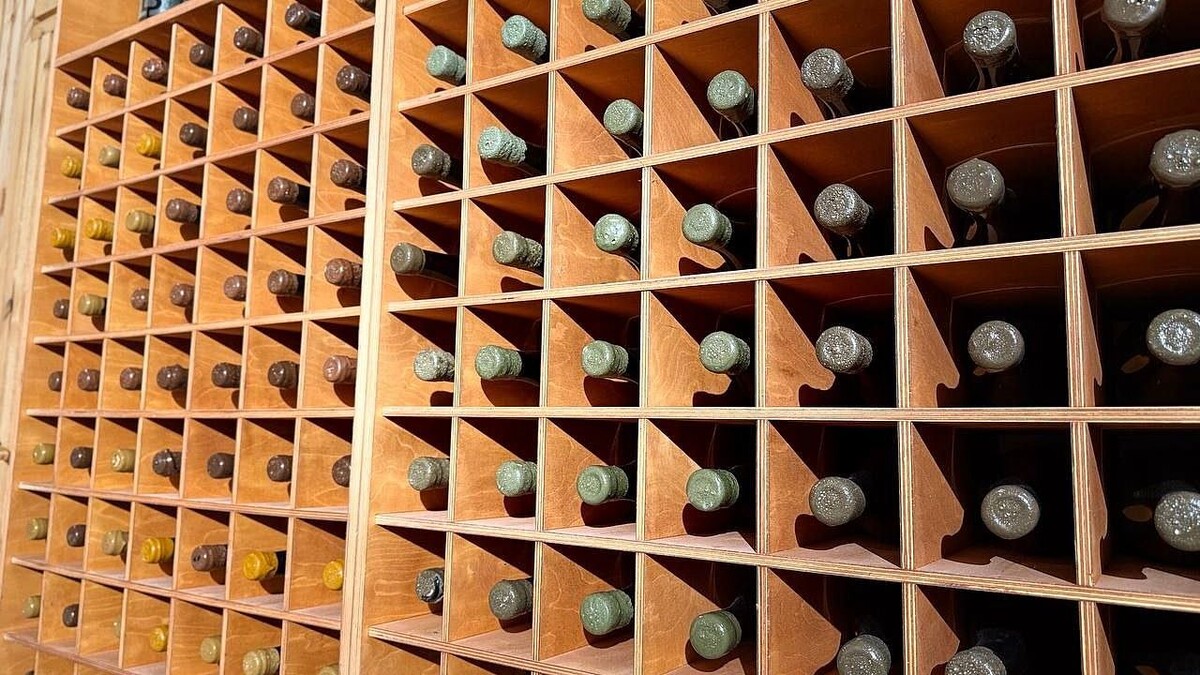    Фото: телеканал «Краснодар»